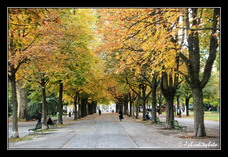 141 Promenade du parc des Bastions